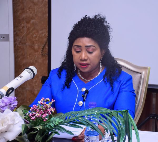  bilan des activités des centres et services de prise en charge des personnes vivant avec le VIH au GABON.
