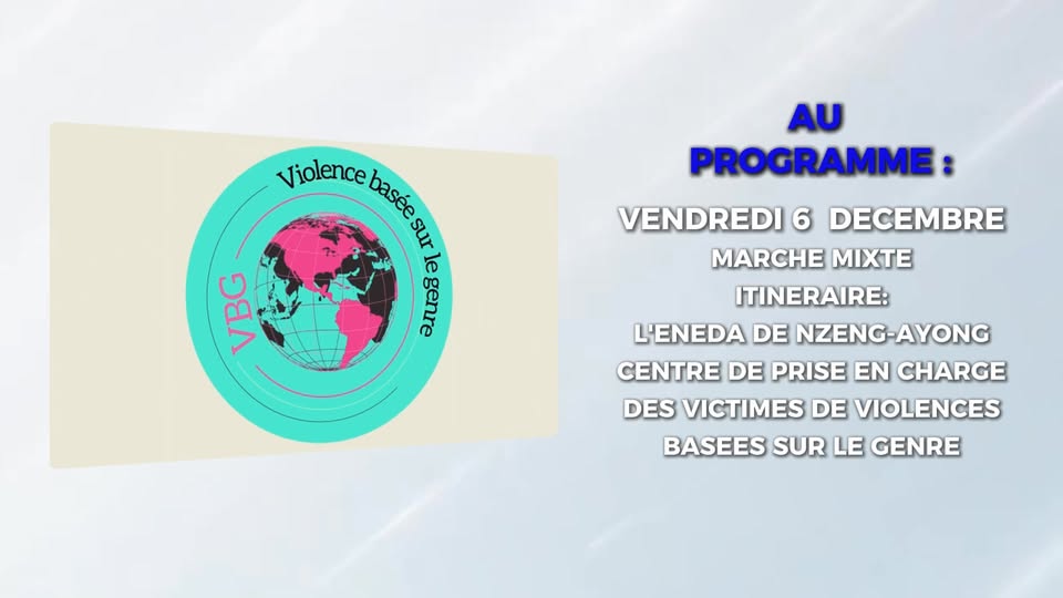 Mobilisation nationale contre les violences basées sur le genre : Rendez-vous les 6 & 7 décembre !